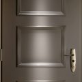 Forstyl HIS - Porte blindée pour maison à Lyon