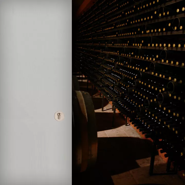 Porte blindée de cave Fichet Caviporte